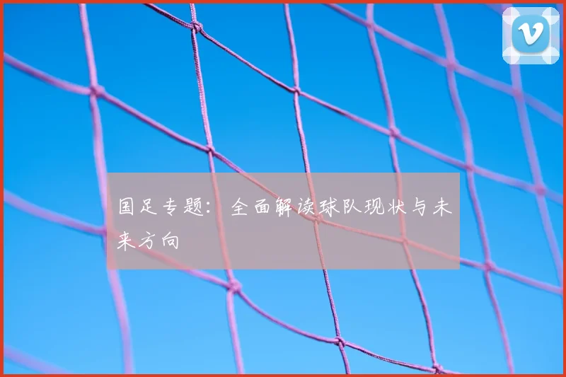 国足专题：全面解读球队现状与未来方向